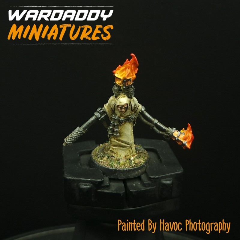 Pro Painted Warhammer 40k Imperial Guard Inquisition Witch Hunter Acolyte OOP