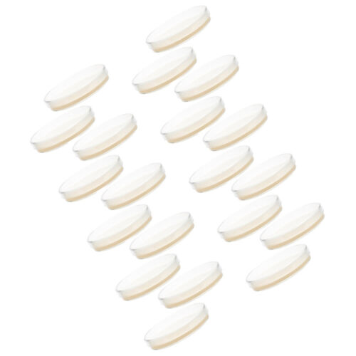20 Pcs Nutrient Agar Plate Experiment Plates for Laboratory Child