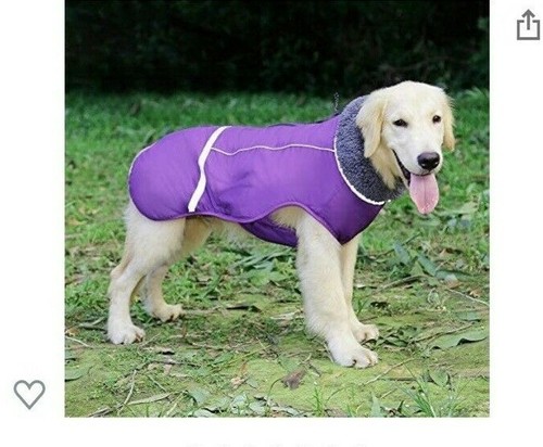 doglemi jacket