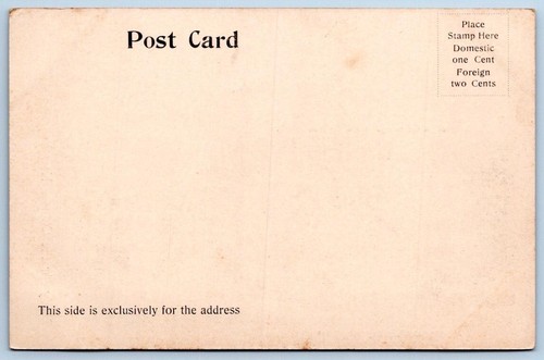 Pre-1907 READY FOR CHINESE NEW YEAR HAND-COLORED ETHNIC PRINTED GERMANY POSTCARD - Picture 2 of 2
