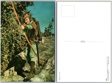 Continental Errol Flynn Archer Postcard