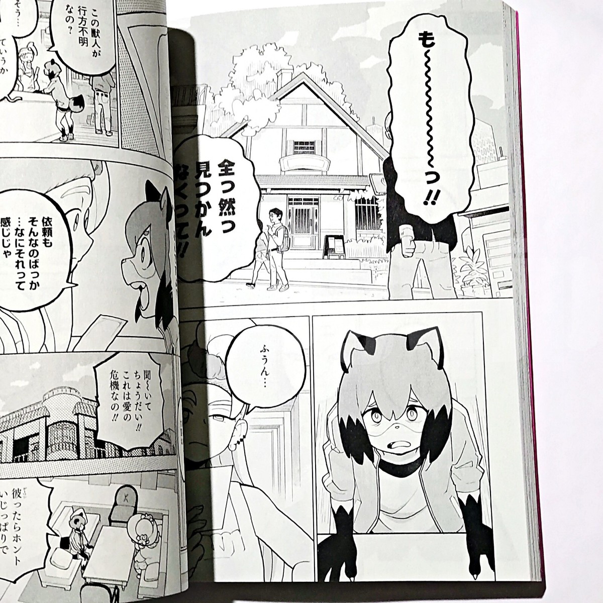BRAND NEW ANIMAL お疲れ様本　BNA ビー・エヌ・エー BRAND NEW ANIMAL お疲れ様本 BNA ビー・エヌ・エー bna - メルカリ