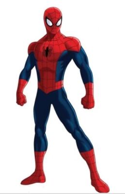 Spiderman Essbar Superhelden Hero Web Tortenaufleger Torte Geburstag + TEXT