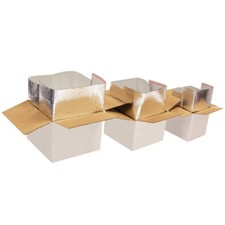 Insulated Delivery Box + Coolant Ice Packs (x5)