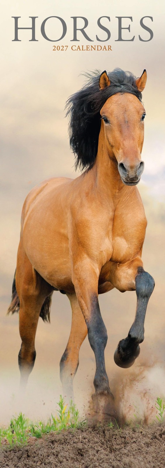 Horses Slim Calendar 2027, Wall Calendars, Month To View, Animals, Gift - Image 3