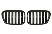 Blic 6502-07-00659911KP KüHlergrill Schwarz Vorne