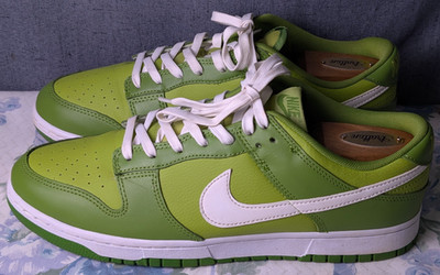 Nike Dunk Low Chlorophyll Green Men's 10.5 Sneakers Leather Shoes DJ6188-300