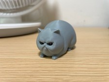 Angry Cat Toy