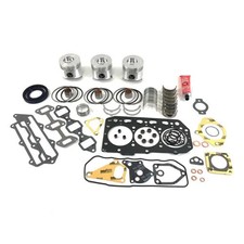 Piston Overhaul Kit - .010