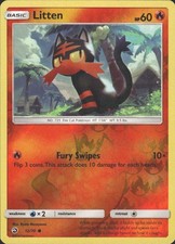Litten 12/70 Dragon Majesty Common NM