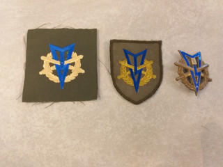 Niederländische Militär Sportabzeichen