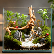 Natural Driftwood Fish Tank Ornament Aquarium Wood Root Decor Plant Branch