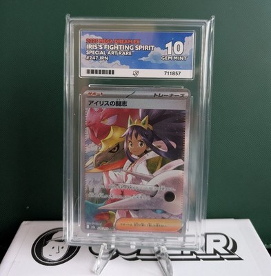 Iris's Fighting Spirit SAR Mega Dream 247/193 ACE 10