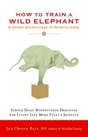 Jan Chozen Bays | How To Train A Wild Elephant | Taschenbuch | Englisch (2011)