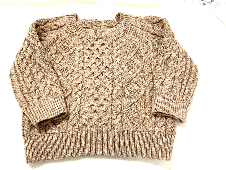 Baby Gap boys 12-18 months tan winter sweater NWOT