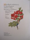Picture 14 of 22