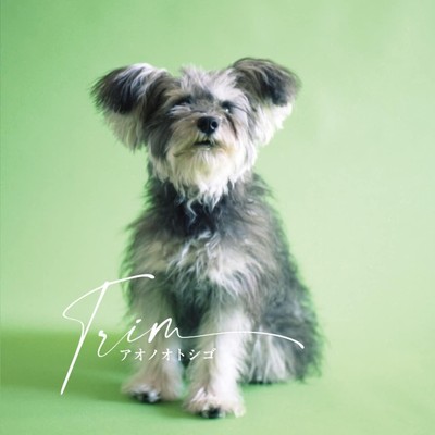 CD Trim Japan Aono Otoshigo Music (1 CD) EGGS-74 Album | eBay