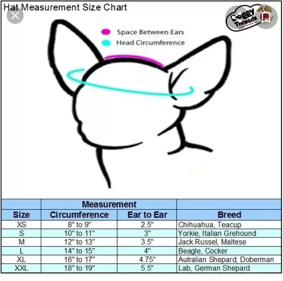 handmade crochet pet dog cat hat bucket brim xs small breed arctic blue new - Image 4 of 4