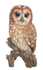 Tawny Owl - Lifelike Garden Ornament - 17cm - Indoor or Outdoor - Vivid Arts