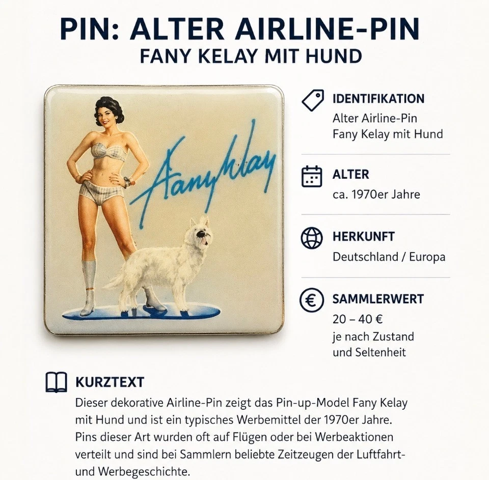 ALTER AIRLINE- Pin FANY KELAY MIT HUN für Sammler Fans als Geschenk eine top ide - Bild 1 von 1