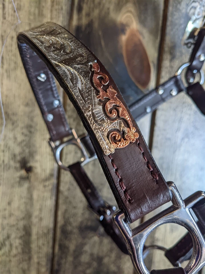 Halter Silver Show - Aceite oscuro - Acentos de plata y cobre - Tamaño caballo - Vástago de plomo Foto 4 de 4