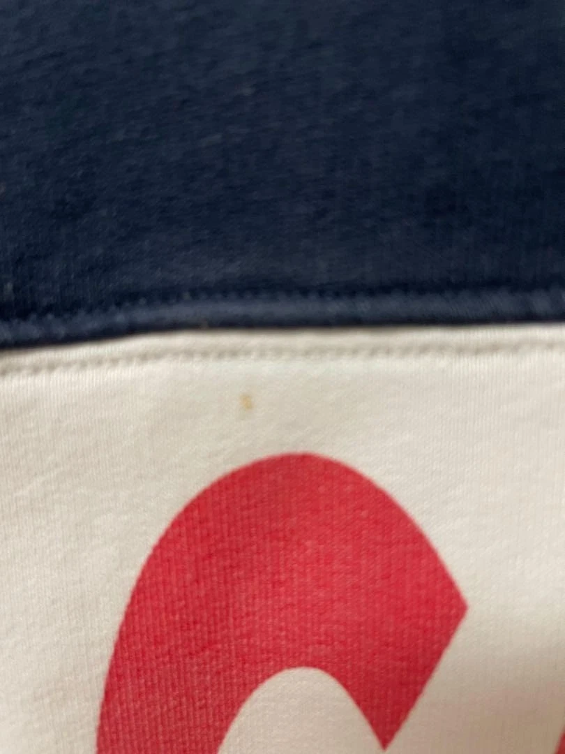 Felpa con cappuccio blu navy LACOSTE x Supreme collaborazione taglia S dal Giappone kawaii JPN