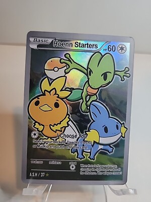 Hoenn Starters Full Art Holo Pokemon After Skool Hobby Fan Custom Trading Card 