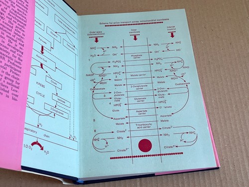 E.A. Stroev - Biochemistry + Laboratory manual in Biochemistry - Mir Moscow 1986 - Picture 6 of 19