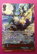 Cardfight!! Vanguard Omniscience Dragon, Fernyiges (SGR) G-CHB02 003EN NM