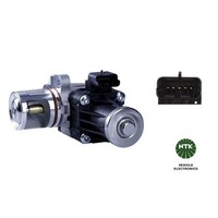 Agr-Ventil NTK 93980 FüR CitroËN Fiat Ford Volvo