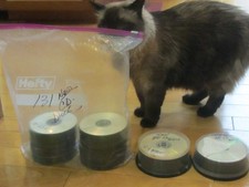 131 HP Blank 52X CD-R CDR Branded Logo 700MB Media Disc Incredible  Cool 