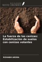 La Fuerza De Las Cenizas: EstabilizacióN De Suelos Con Cenizas Volantes Arora