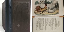 1853 antique MATERIA MEDICA from ANIMALS medical quack 24 COLOR PLATES animalia