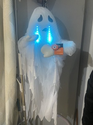 Hyde and EEK! Track Light(sad/tears)Ghost 42''  6  Sound Activated Phrases* READ*