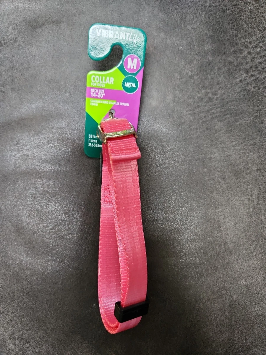 Vibrant life adjustable dog collar cheap