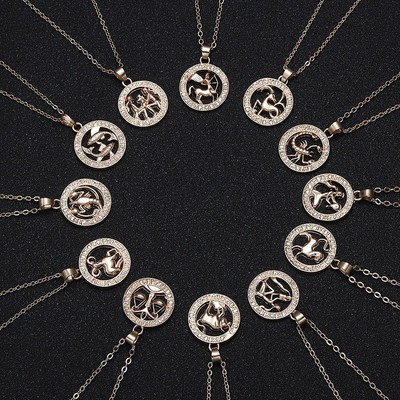 Löwe Skorpion Halsband Anhänger Halskette Tier Sternzeichen 12 Sternbild