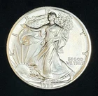 1989 American Silver Eagle 1 Oz .999 Fine Coin, No Reserve #829