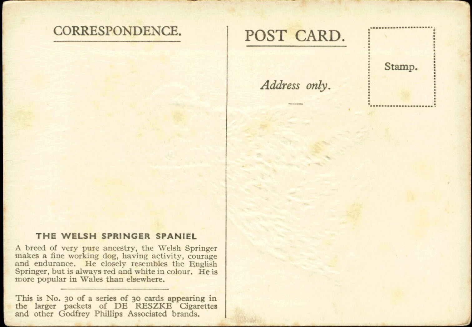 WELSH SPRINGER SPANIEL puppy dog red spots De Reszke Cigarette advertising