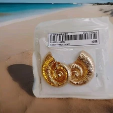 NEW Women's Gold Tone Large Shell Shape Stud Earrings Ocean Beachy Seascape Sea