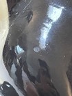 Picture 18 of 24