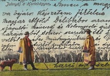 38/278 AK SCHAFZUCHT SCHÄFER HUND SCHAFE  JAHR 1906 ?