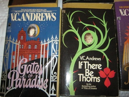 V.C. Andrews Taschenbücher - Lot 13 - Bild 2 von 4
