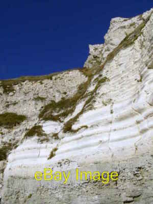 Photo 6x4 Lower Chalk cliffs, White Nothe Chaldon Herring or East Chaldon c2008