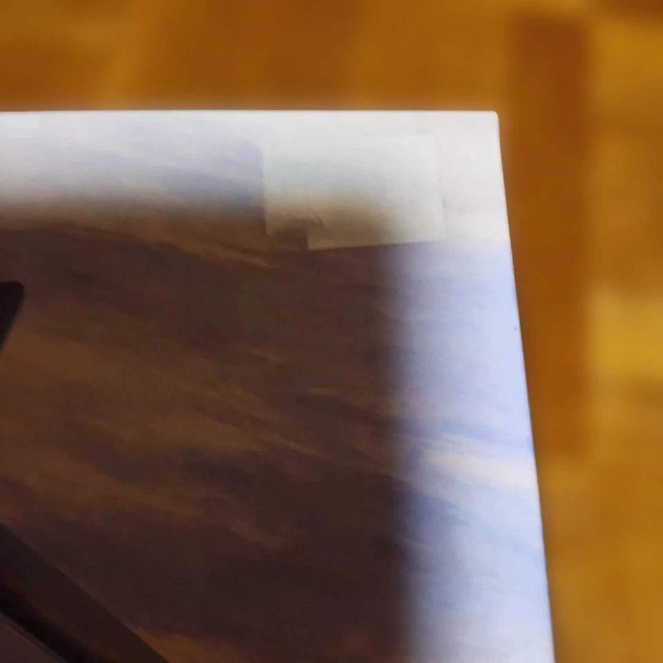 Modellino in plastica Hasegawa Aichi B7A2 aereo d'attacco portaerei Ryusei... - Immagine 2 di 4