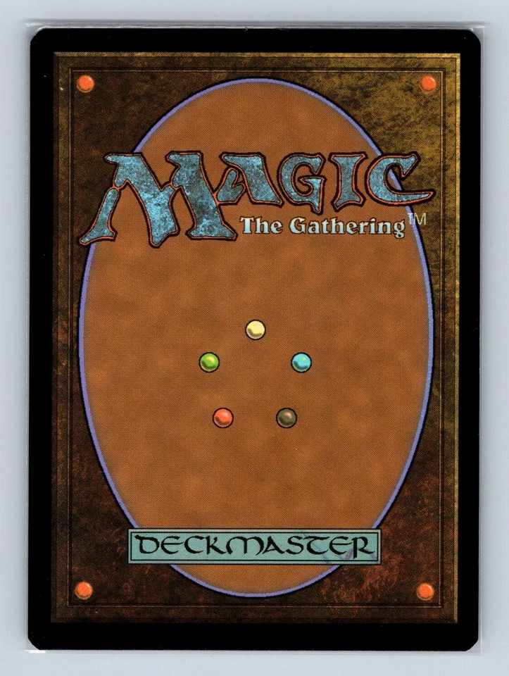 Magic the Gathering - MTG - AFR - Evolving Wilds  - Foil - Common - Image 2 of 4