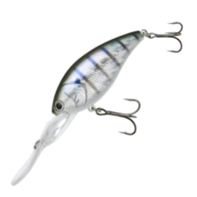 Nories SHOT OVER 5 [Brand New] any color