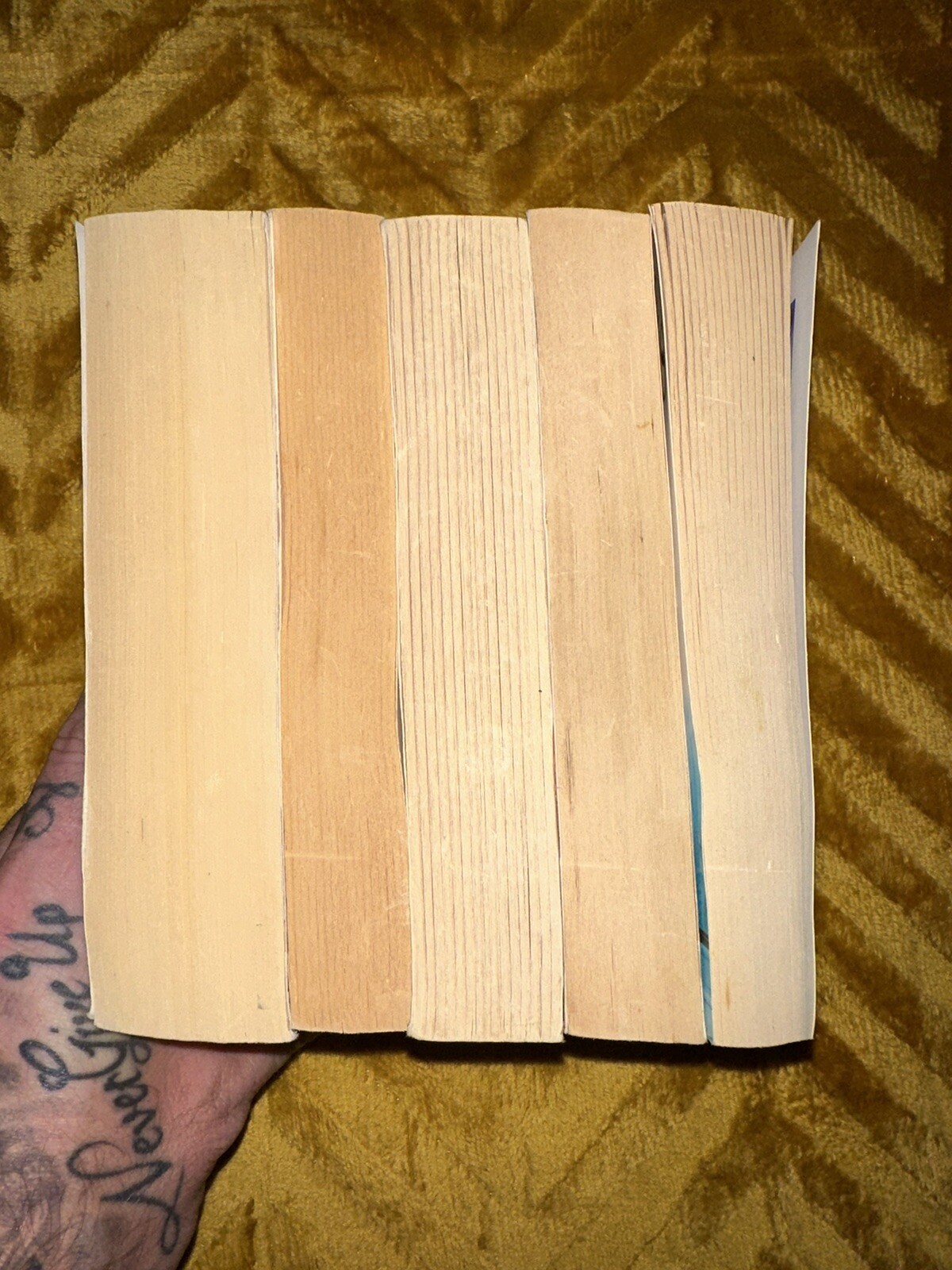 Picture 4 of 6