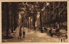 Old postcard AK Vichy Une allee du Parc des Sources FRANCE (1211138)