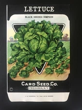 1920s Litho Antique Vintage Card Seed Co. Packet Pack Lettuce black seeded