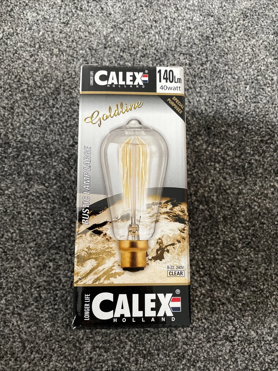Vintage light 2024 bulbs 40 watt